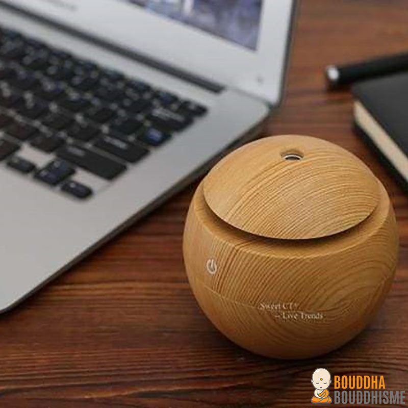 Humidificateur Portable "Zen" à Ultrason - 4 modèles disponibles